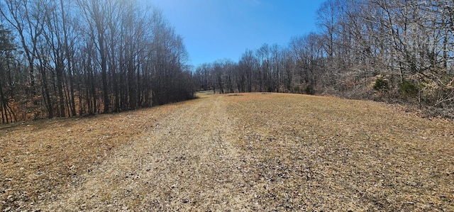 view of road with a wooded view