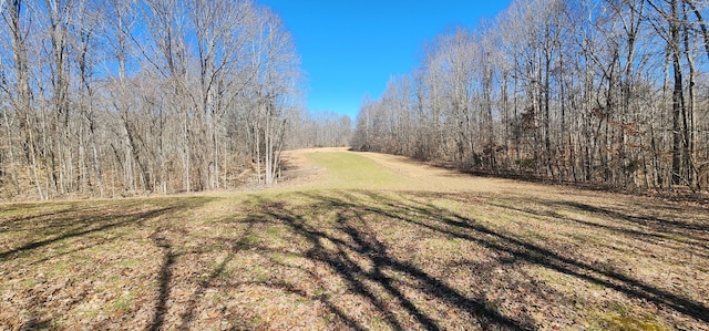 view of yard featuring a view of trees