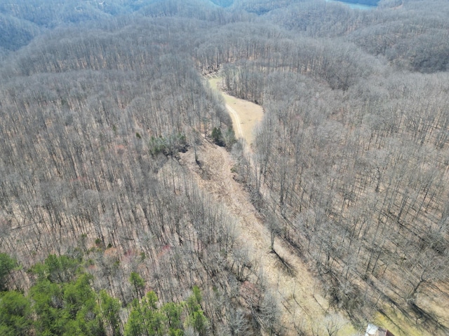 bird's eye view with a wooded view