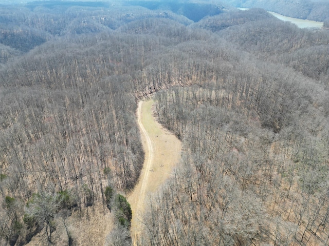 bird's eye view with a forest view