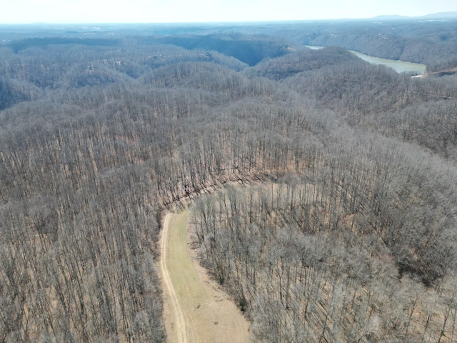 aerial view featuring a wooded view