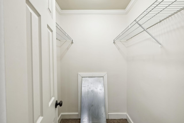 walk in closet with carpet floors