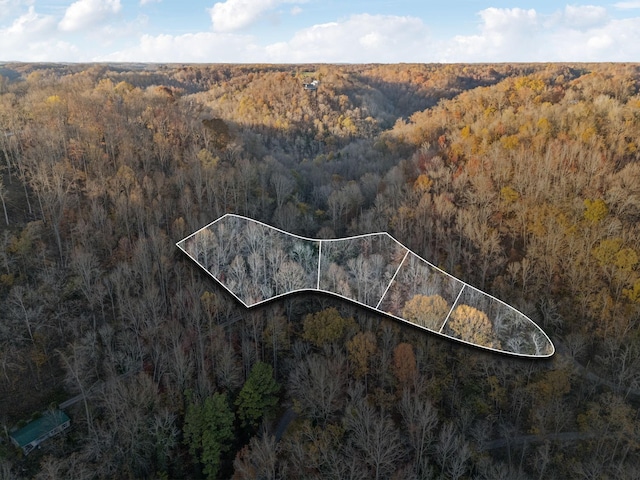 aerial view with a forest view