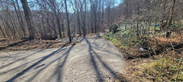 view of road featuring a view of trees