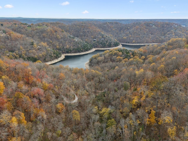 aerial view featuring a water view and a view of trees