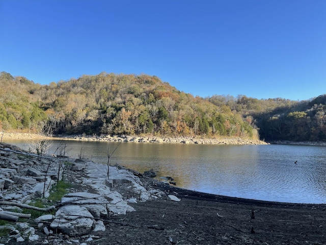 water view with a view of trees