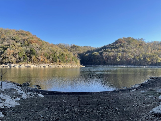 water view featuring a view of trees