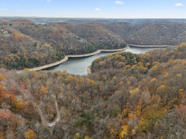 bird's eye view with a water view and a wooded view