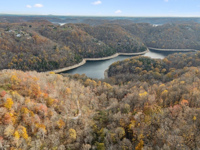 drone / aerial view featuring a water view and a view of trees