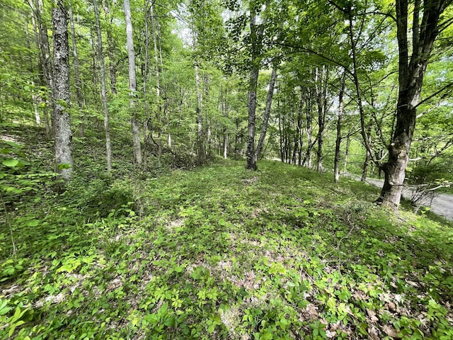 view of landscape featuring a view of trees