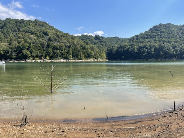 view of water feature featuring a wooded view