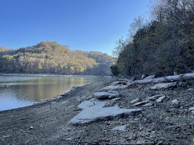 property view of water featuring a wooded view