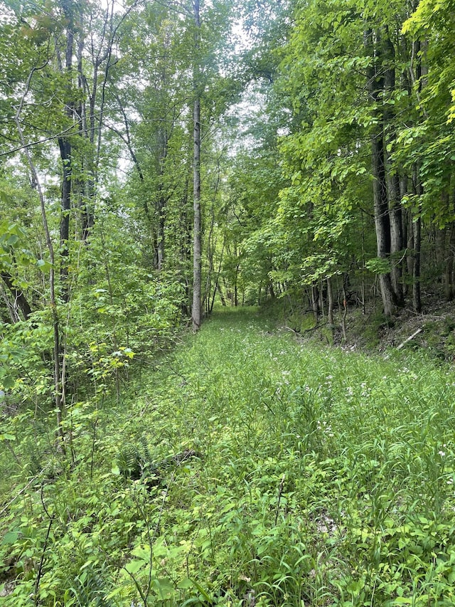 view of nature featuring a wooded view