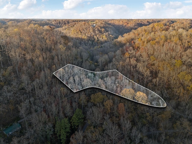 drone / aerial view featuring a wooded view