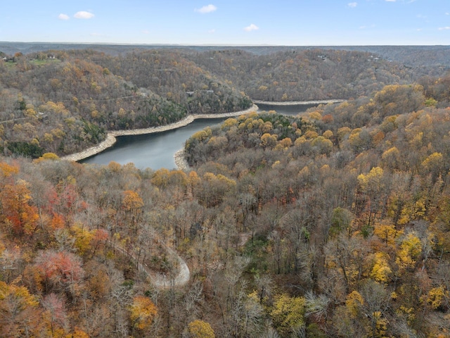 drone / aerial view featuring a water view and a view of trees