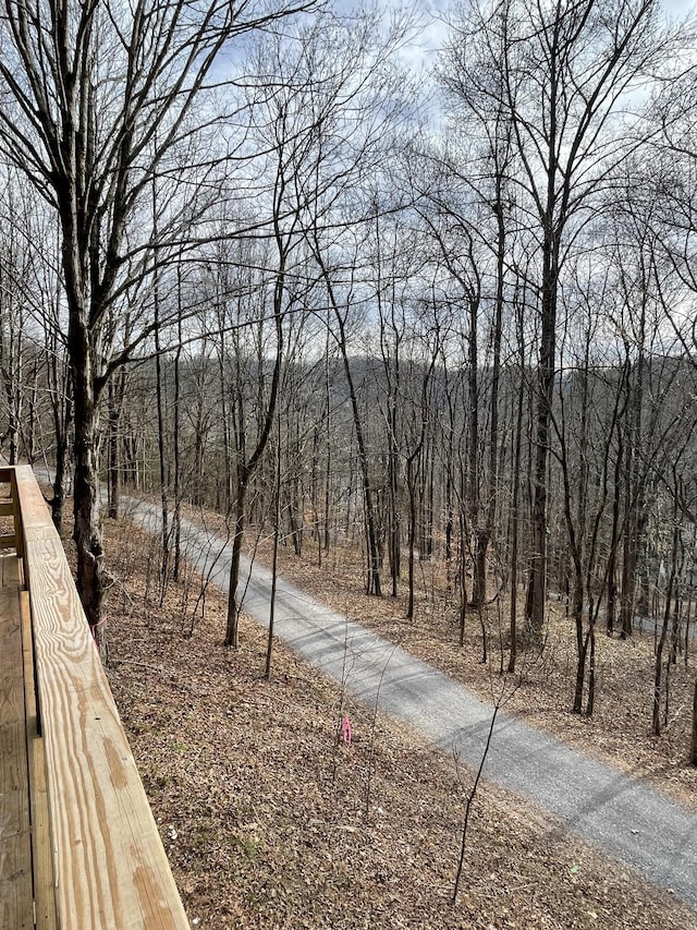 view of road featuring a view of trees