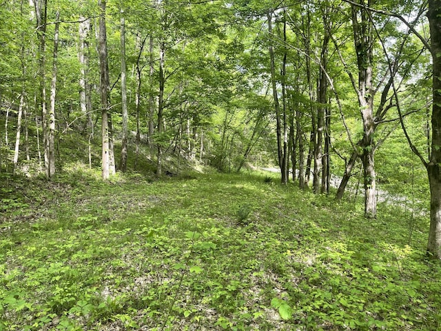 view of nature featuring a wooded view