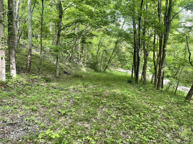 view of local wilderness with a forest view