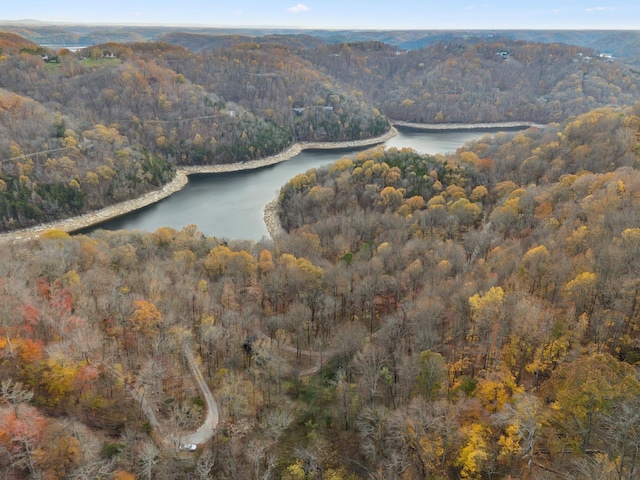 aerial view with a water view and a view of trees