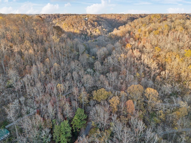 birds eye view of property featuring a forest view