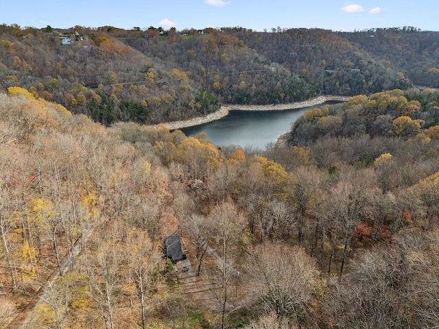 water view featuring a wooded view