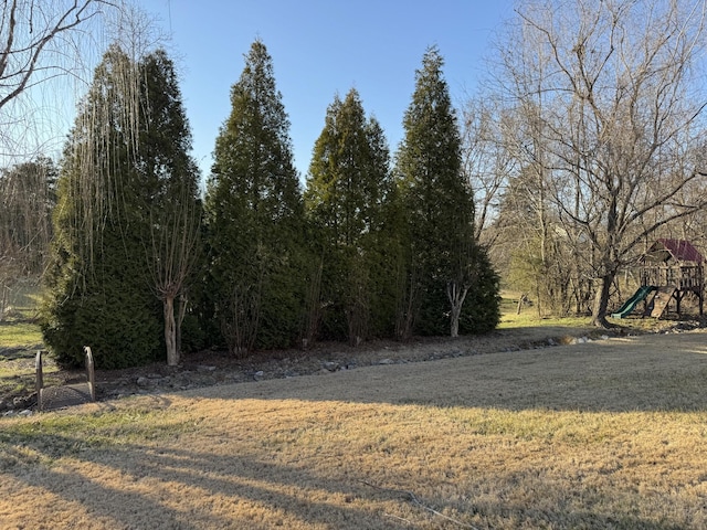 view of yard with playground community