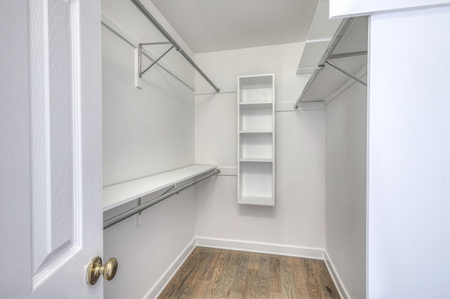 walk in closet with dark wood finished floors