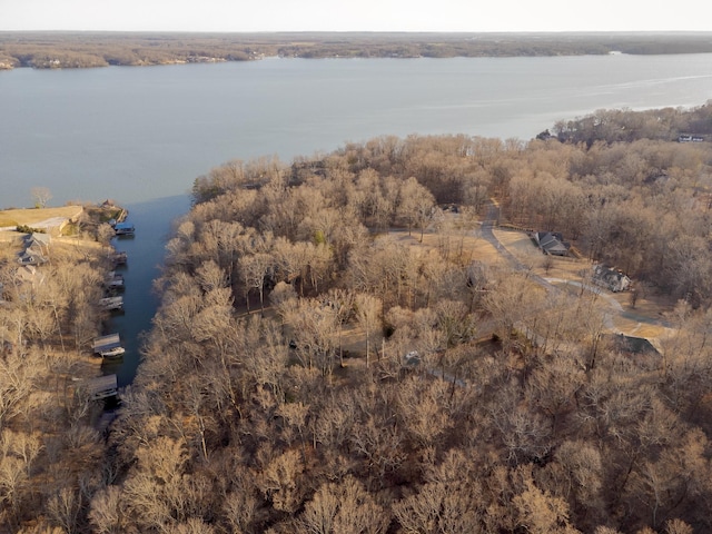 drone / aerial view featuring a water view and a view of trees