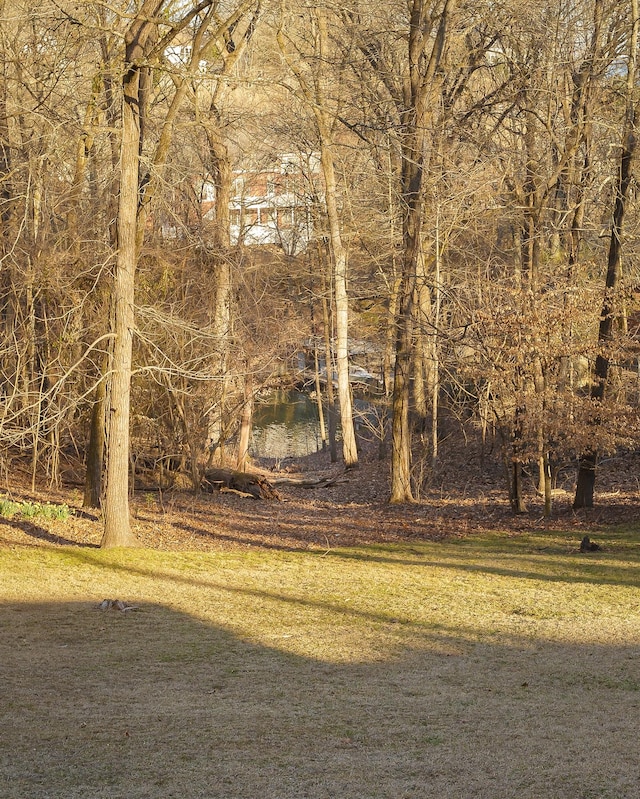 view of landscape