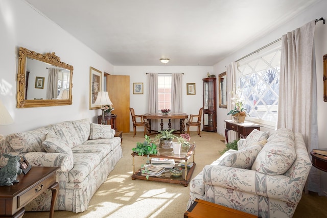 view of carpeted living area