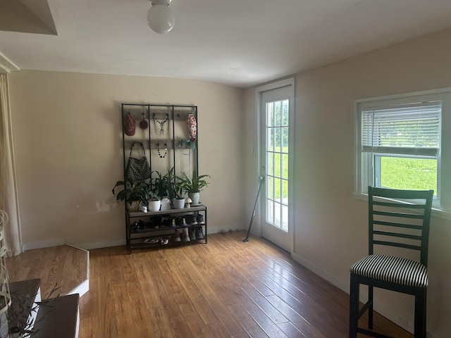 doorway with plenty of natural light, baseboards, and wood finished floors