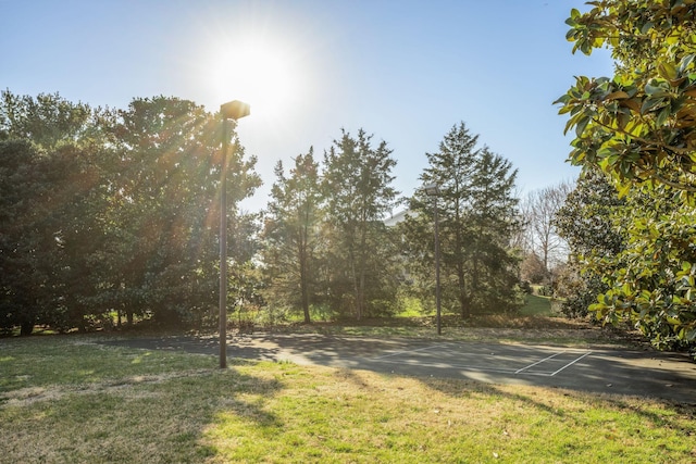 5042 Hill Place Dr, Nashville, TN 37205 - view of yard