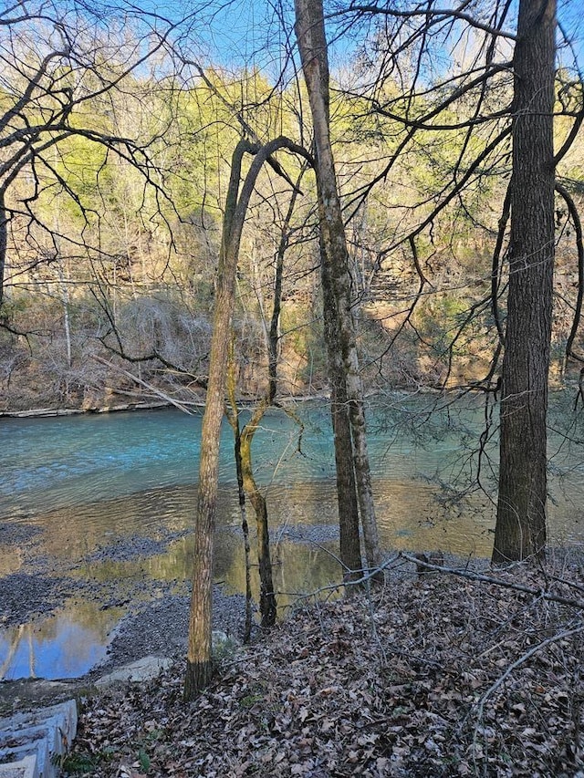 view of water feature with a forest view