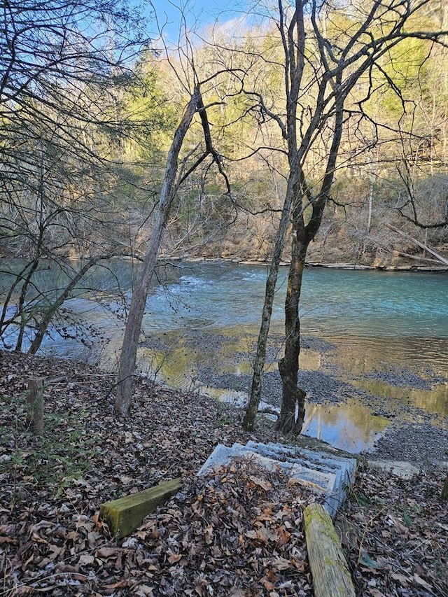 water view featuring a wooded view