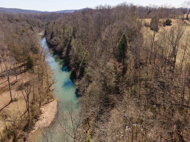 bird's eye view featuring a water view and a view of trees