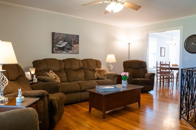 living room with ceiling fan with notable chandelier, crown molding, and wood finished floors