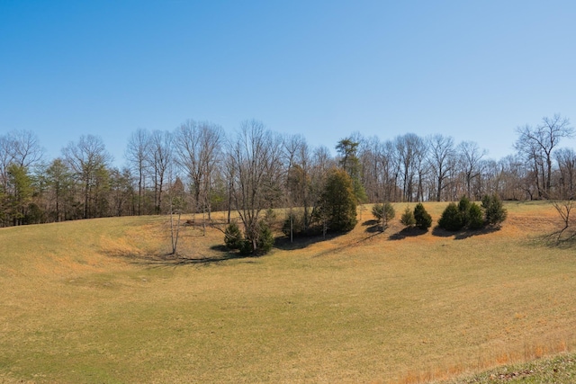 view of landscape featuring a rural view