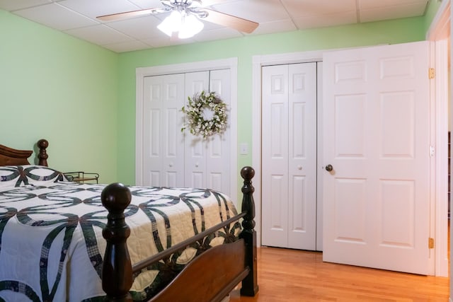 bedroom featuring ceiling fan, light wood-style floors, a drop ceiling, and multiple closets