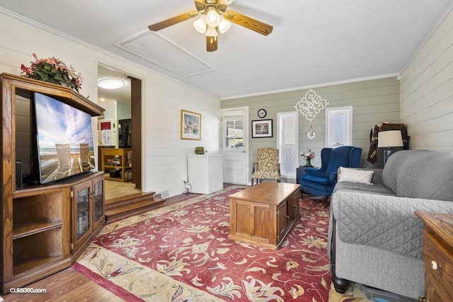 living room with ceiling fan, ornamental molding, wood finished floors, and attic access