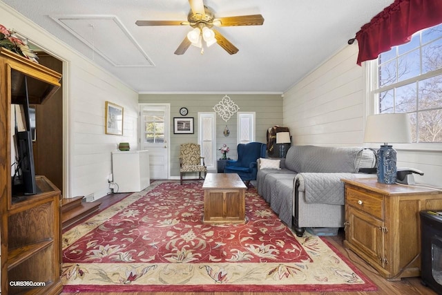 living room with attic access, ceiling fan, and wood finished floors