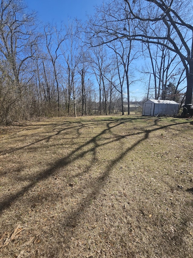 view of yard with a storage shed and an outbuilding