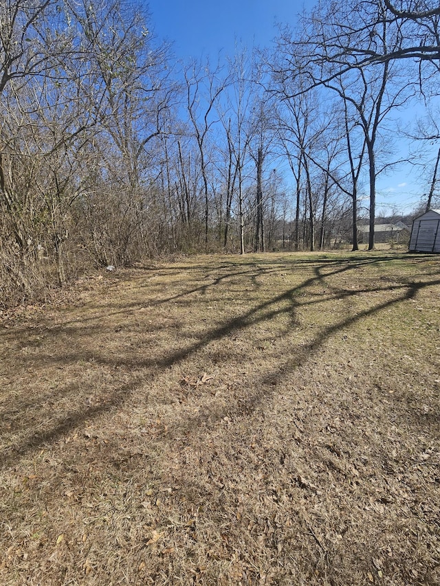 view of yard with an outdoor structure