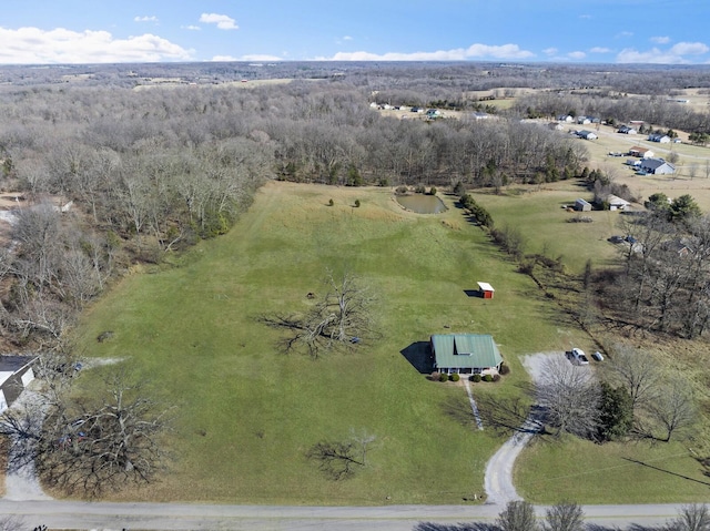 drone / aerial view