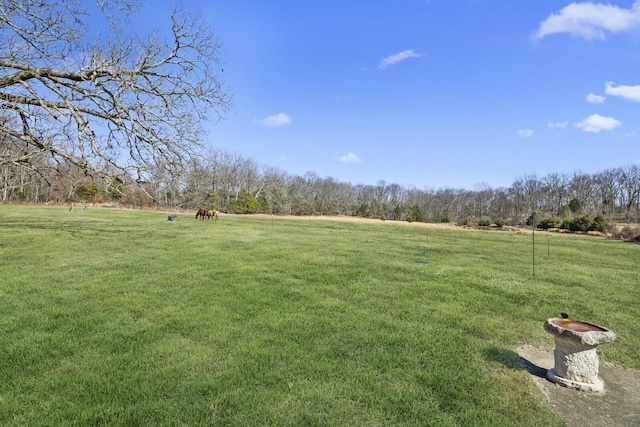 view of yard with a rural view