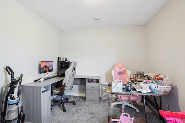 home office with light colored carpet