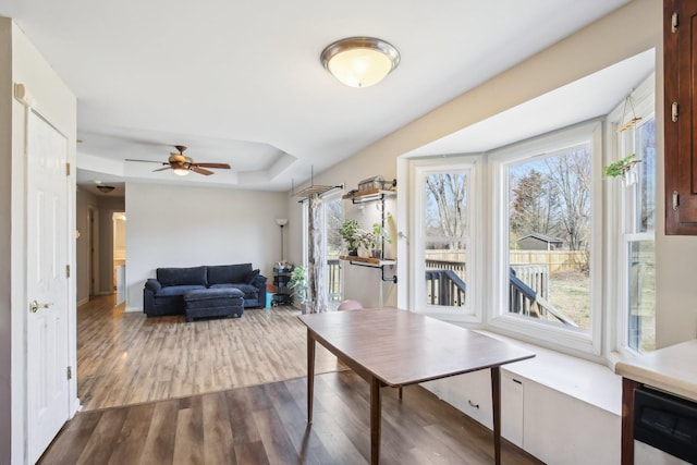 interior space featuring a ceiling fan, a raised ceiling, and dark wood-style flooring