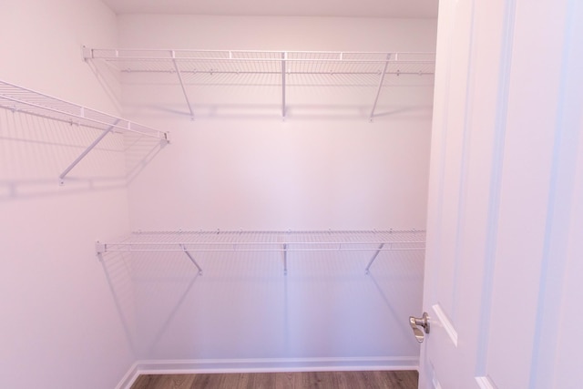 spacious closet featuring wood finished floors