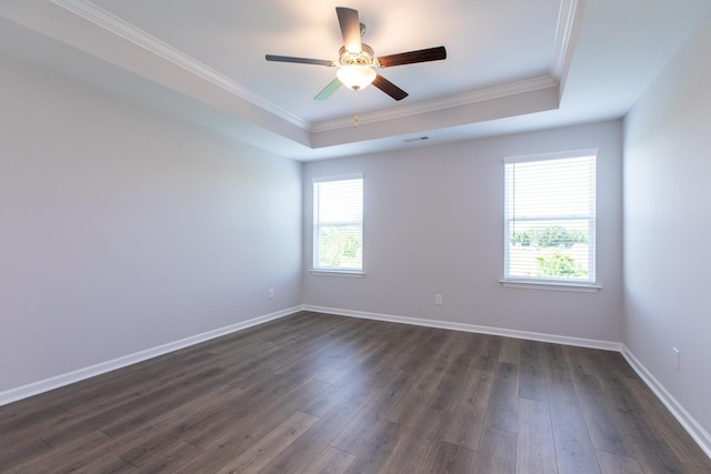 spare room featuring dark wood-style floors, a tray ceiling, plenty of natural light, and baseboards