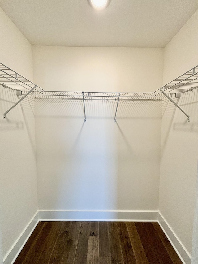 walk in closet with dark wood-type flooring