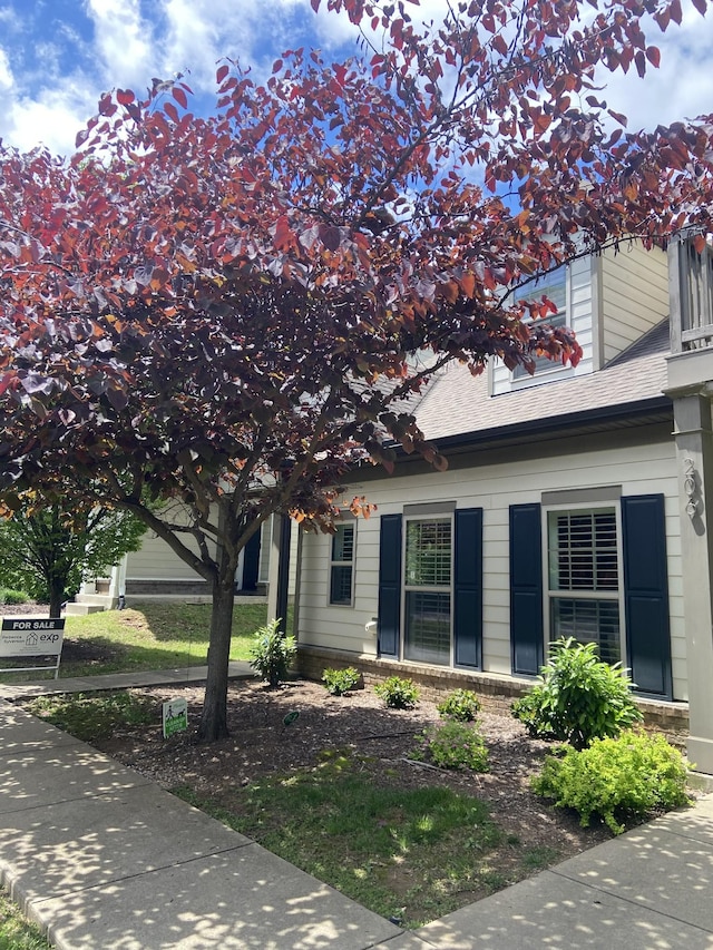 view of property exterior with roof with shingles